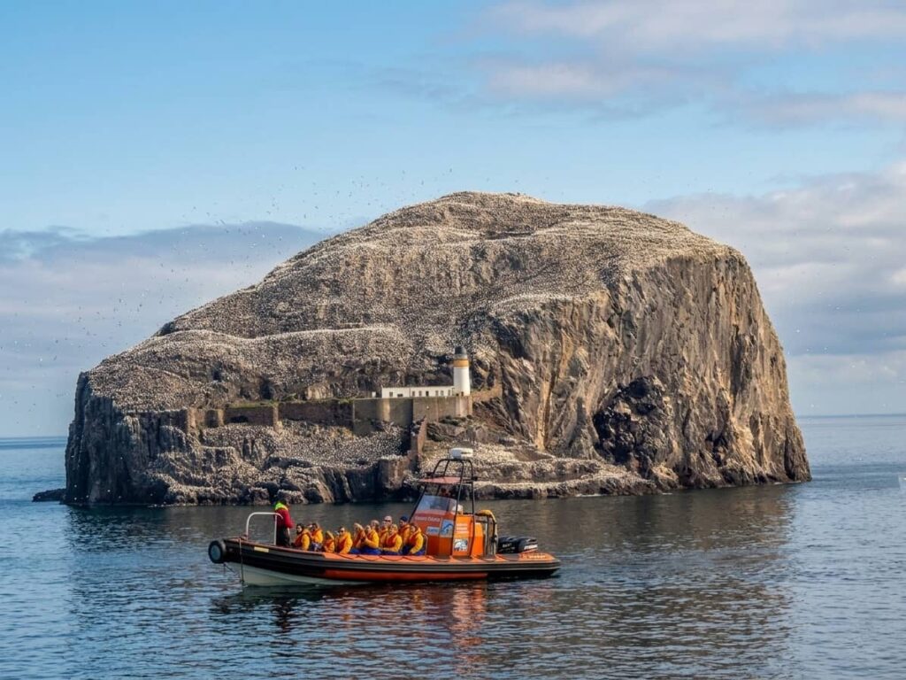 Tantallon Castle, Bass Rock e Seacliff: 3 luoghi imperdibili in Scozia 20 escursione isola di bass rock