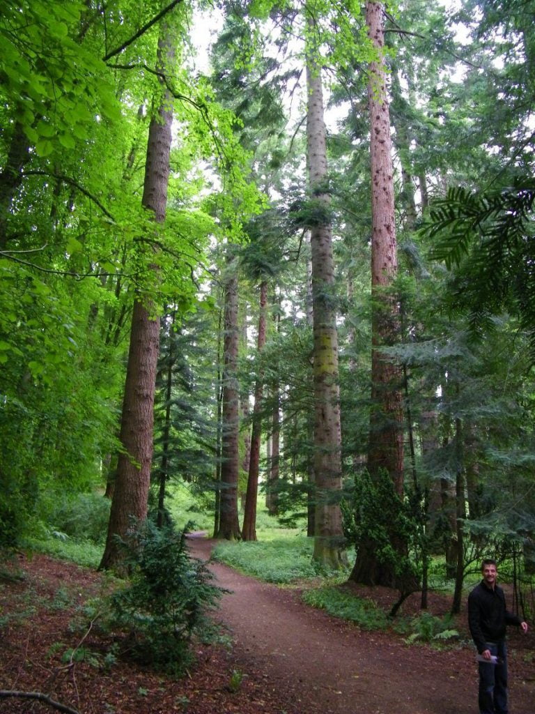 bosco