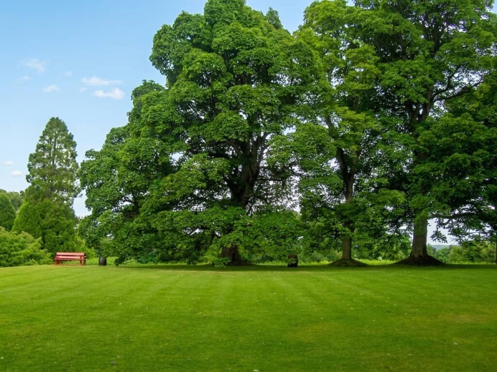 cawdor castle highlands scozia, giardini