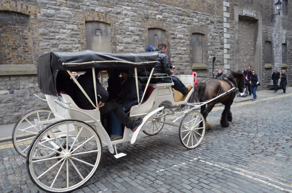 carrozza con cavallo