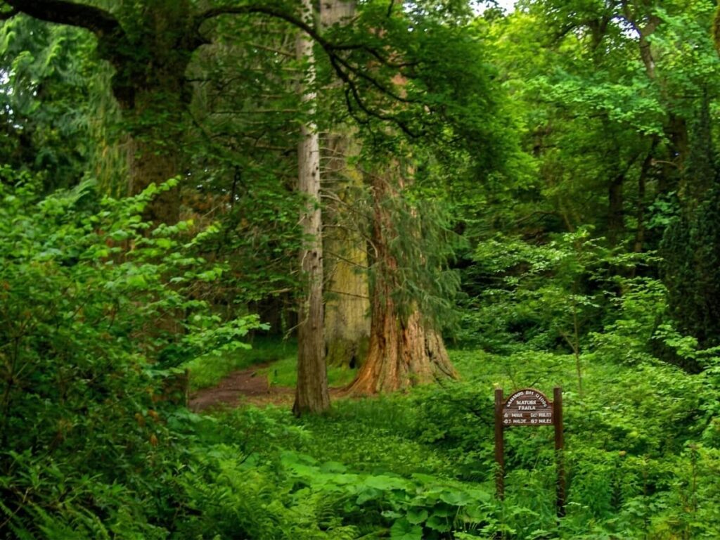 natural trail cawdor