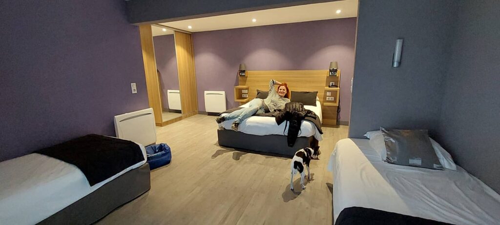 alloggi pet friendly