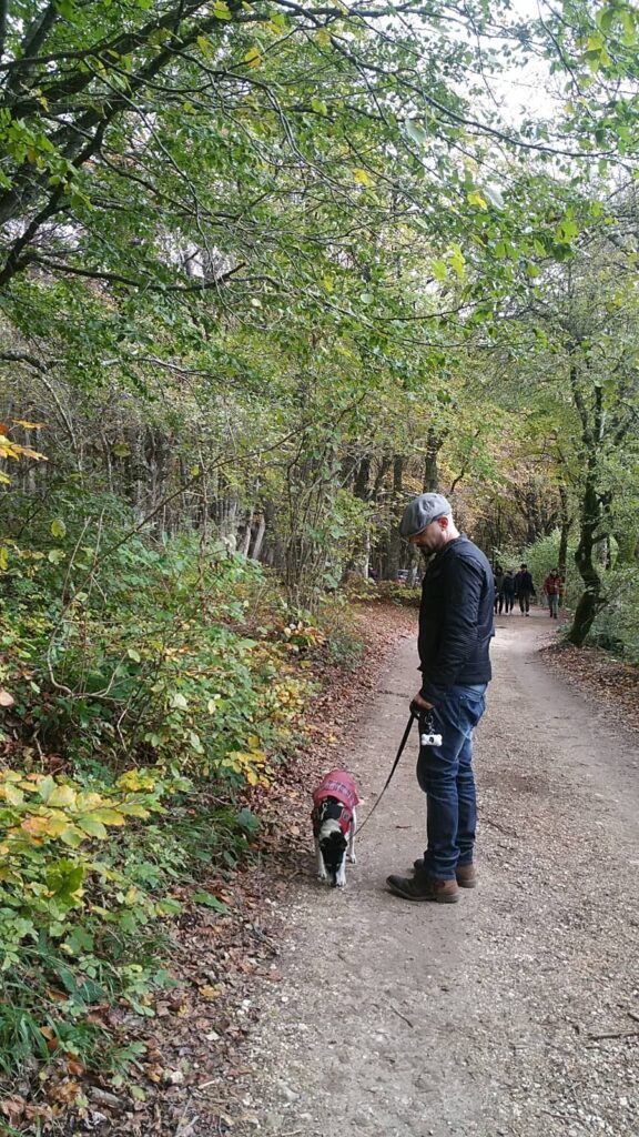 dove andare con il cane in scozia