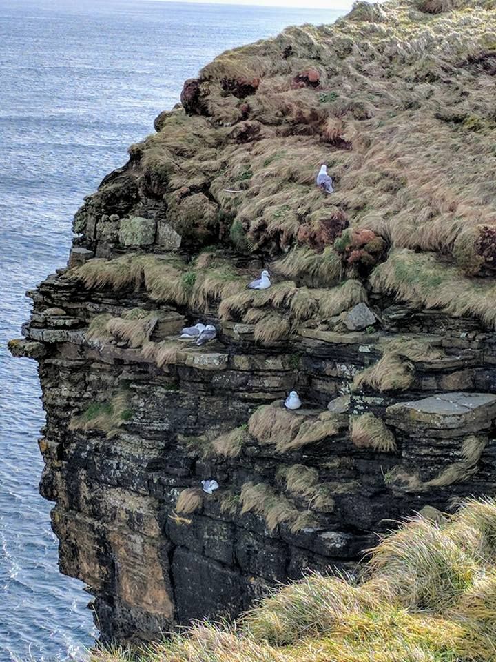 duncansby - caithness