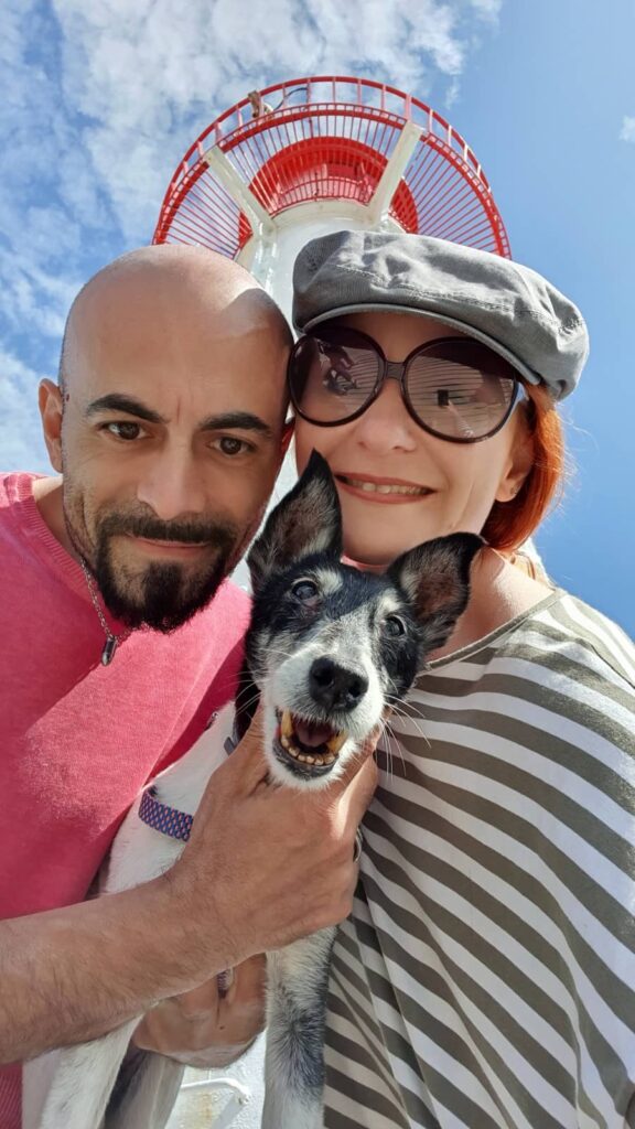 viaggiare con i cani 6