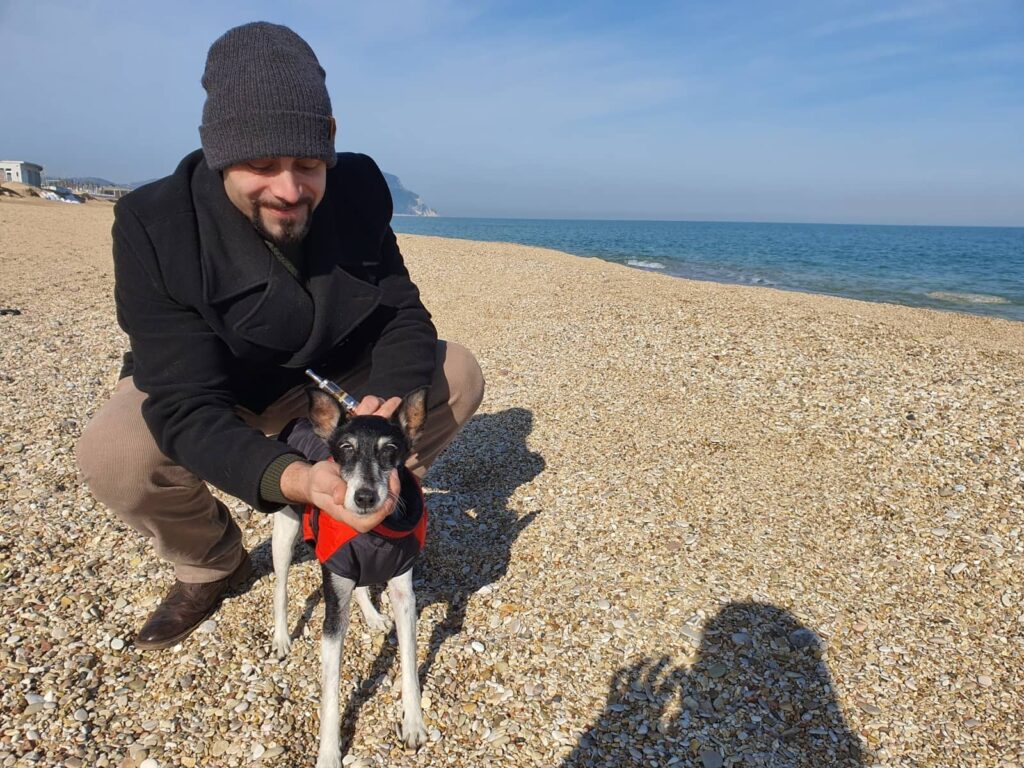 viaggiare con i cani 7