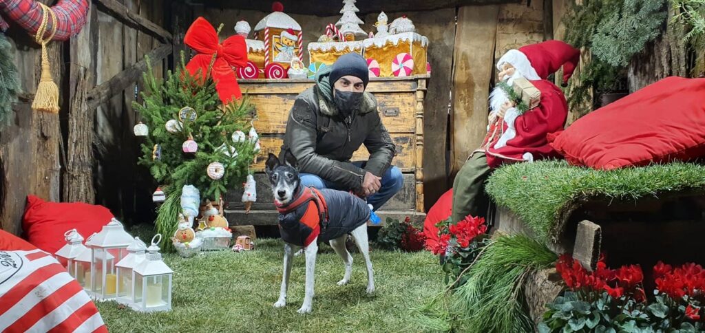 viaggiare con gli amici a 4 zampe in scozia