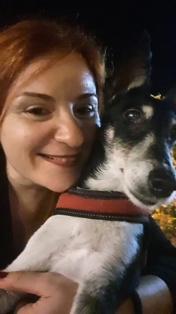 viaggiare con i cani