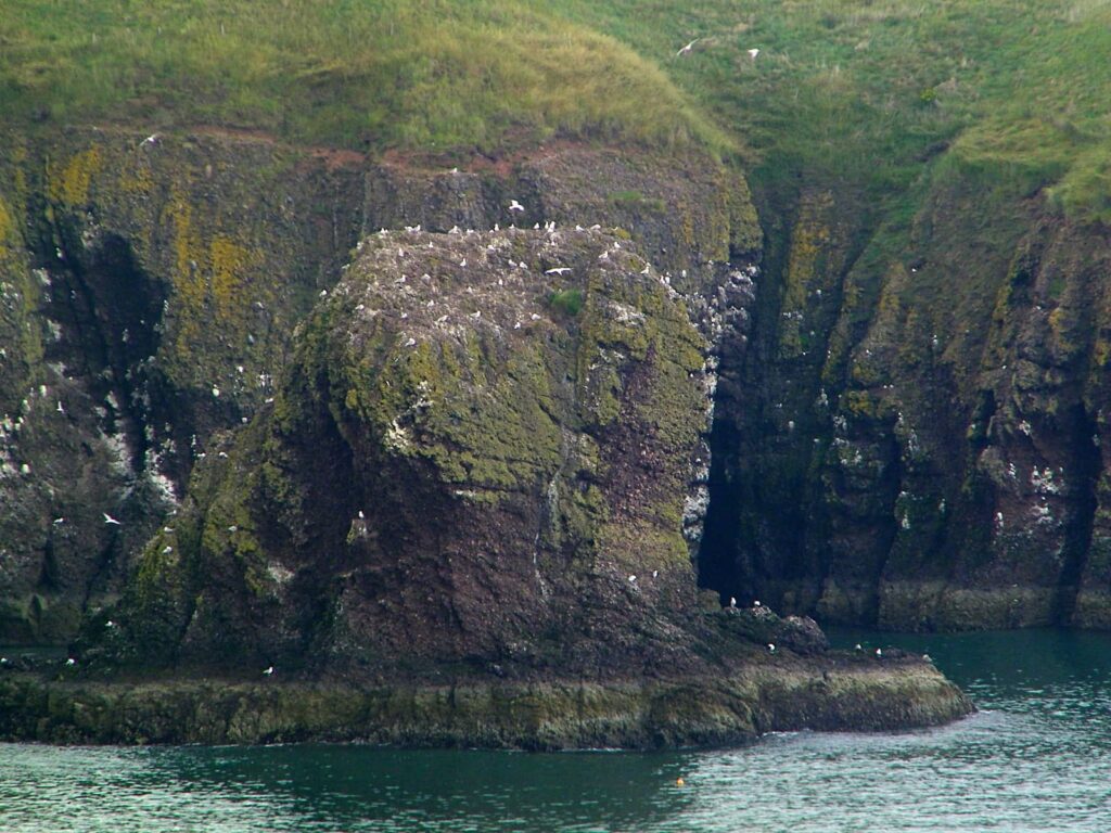 Cosa vedere vicino a Stonehaven