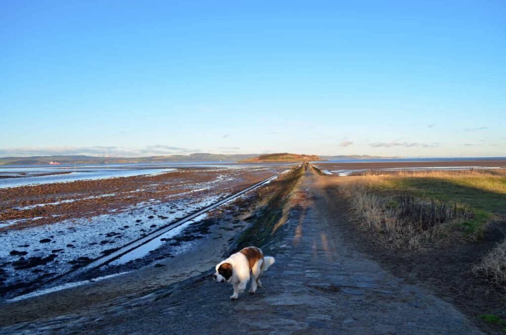 Cramond Island: a passeggio sul Firth of Forth 24 cosa fare a cramond island