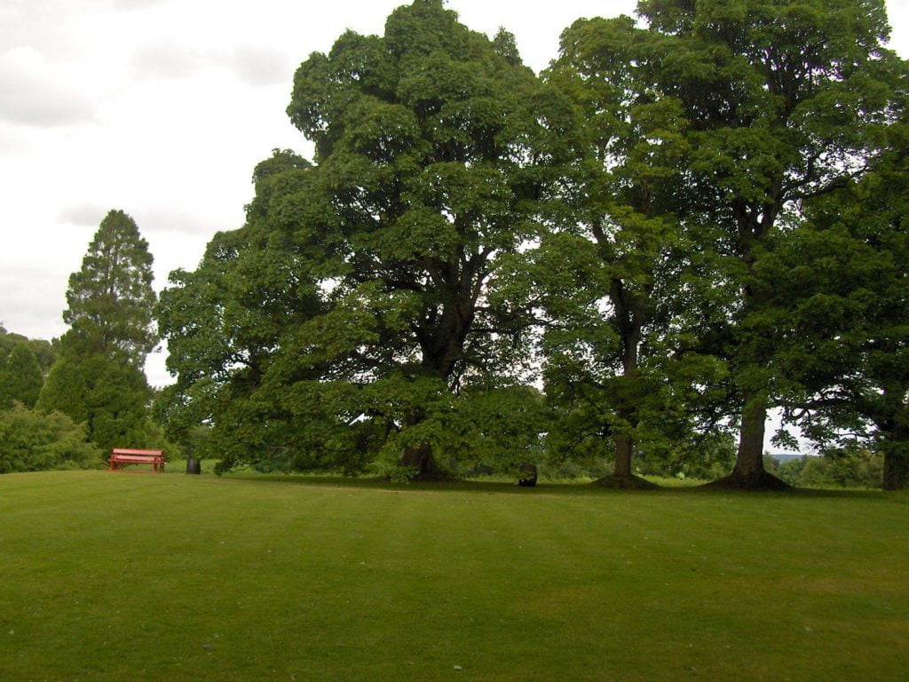 cawdor, panchina rossa, giardino e alberi