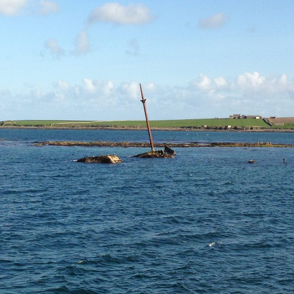 Animali fantastici e dove trovarli: foche, delfini e balene in Scozia 14 resti di relitti in mare