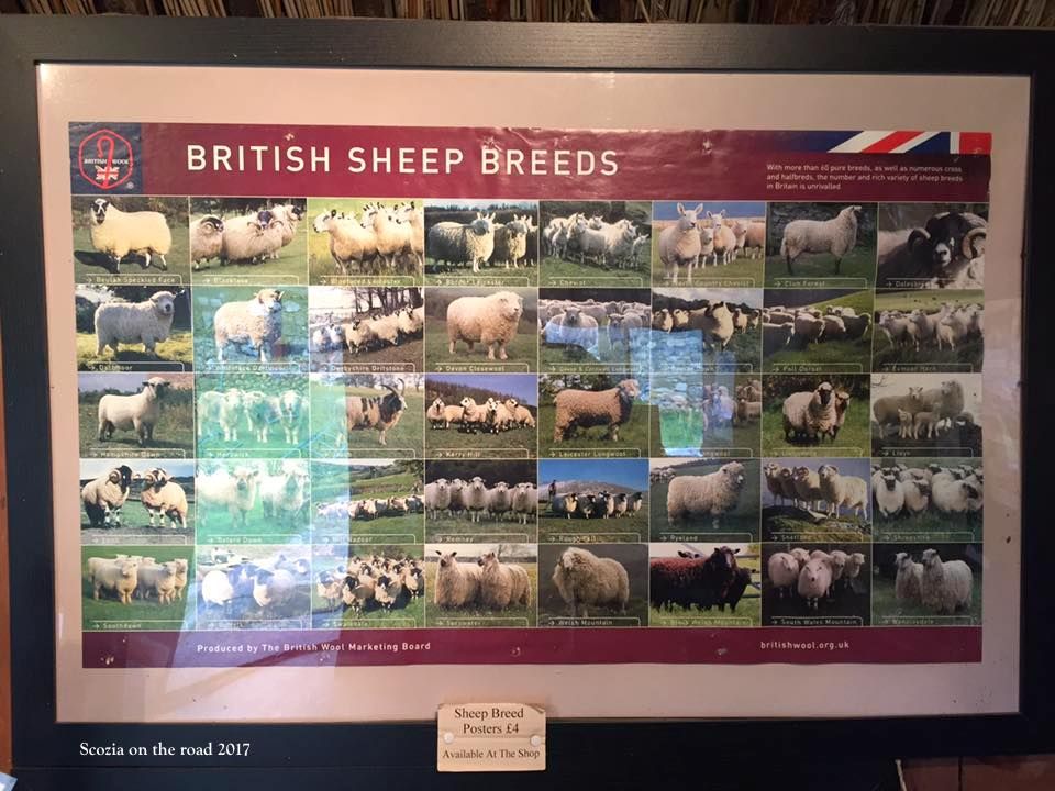 museo croft sull'isola di skye