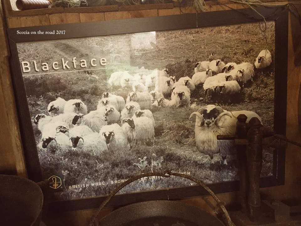 skye museum of island life - cosa vedere sull'Isola di skye