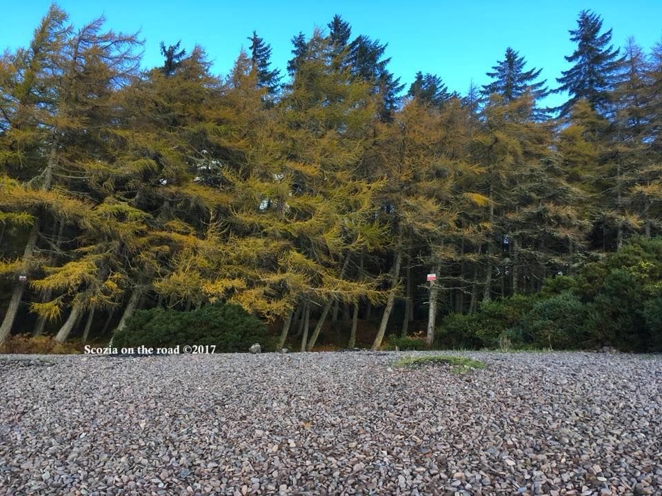 dores - loch ness