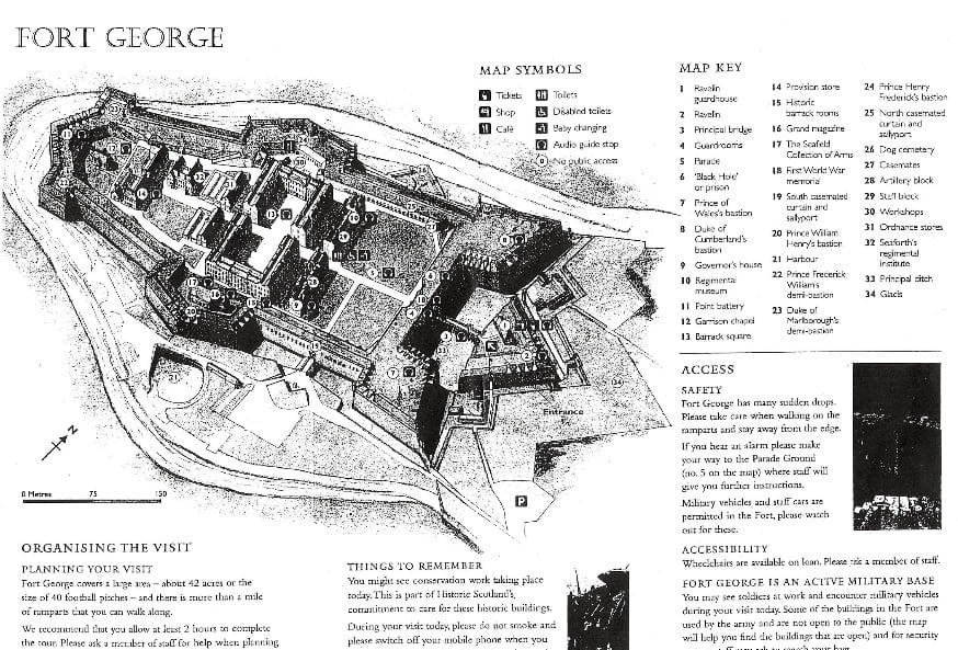fort george piantina