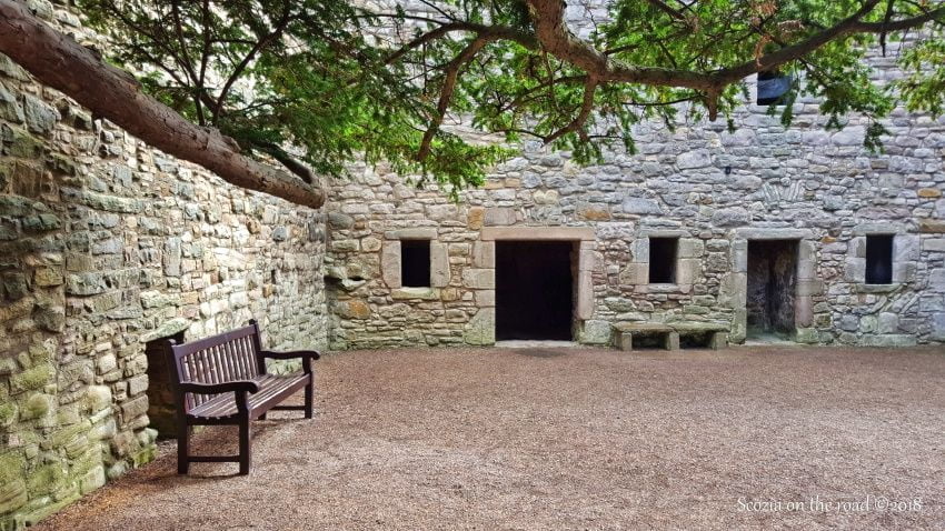 craigmillar castle, panchina, albero