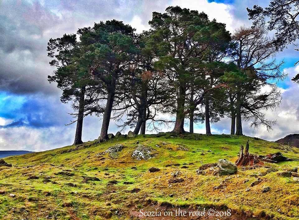 incontri Perth Scotlandincontri con qualcuno che hai incontrato in Tinder