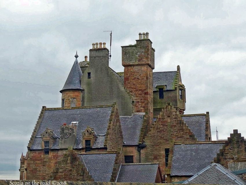 maybole tetti