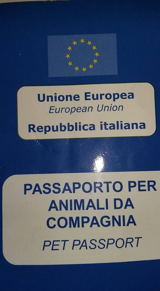 passaporto per cani
