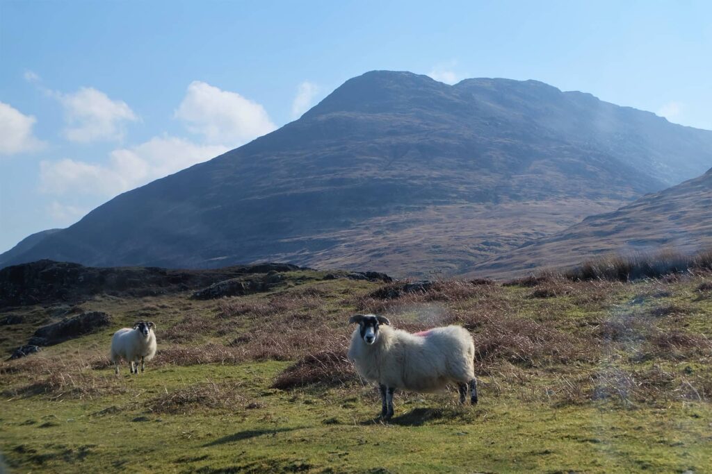 viaggio tra le highlands, scozia