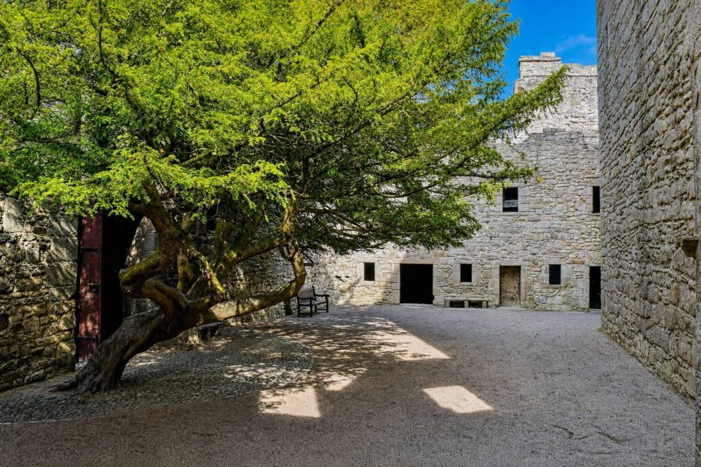 Craigmillar Castle (Scozia): il castello di Mary Stuart e Outlander vicino Edimburgo 10 Cortile interno di Craigmillar Castle con grandi alberi e mura in pietra