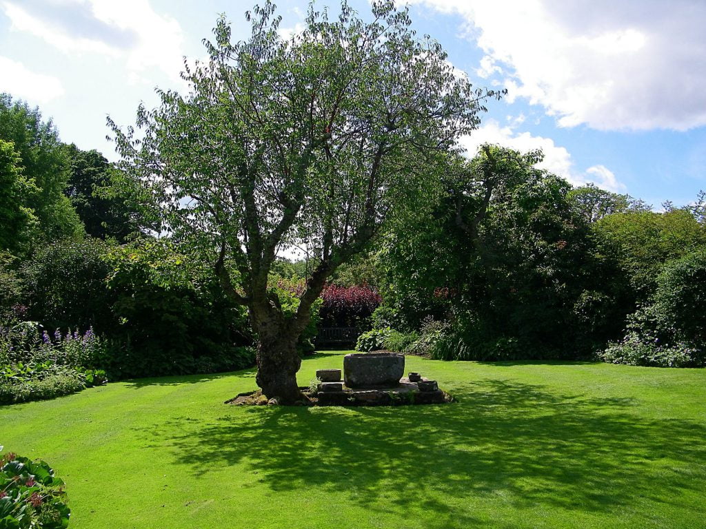 Crathes castle, giardino