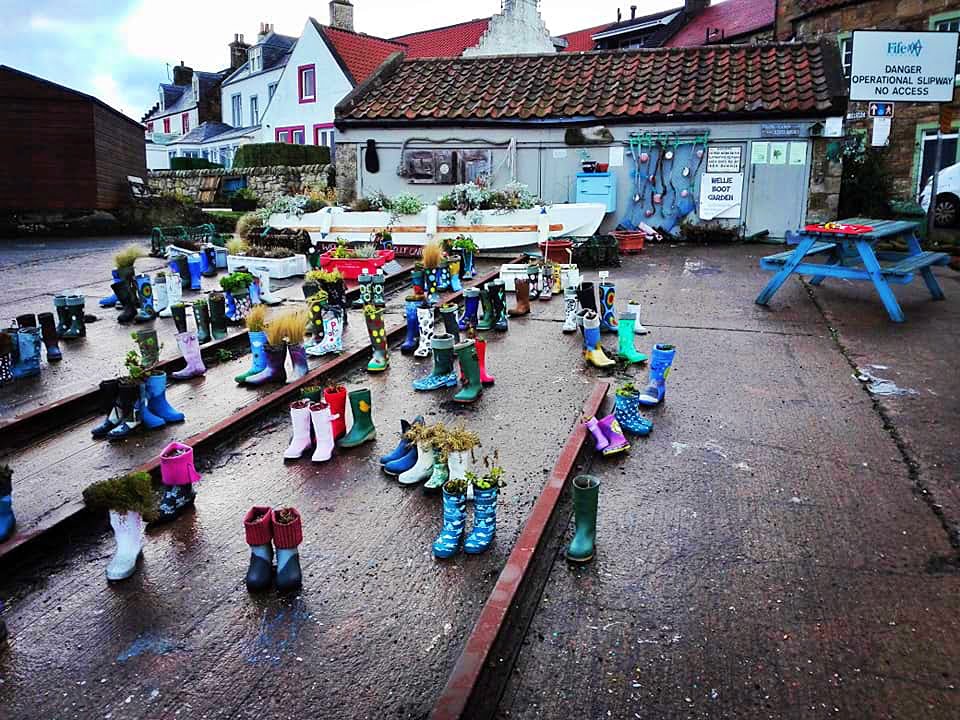 wellie boot garden