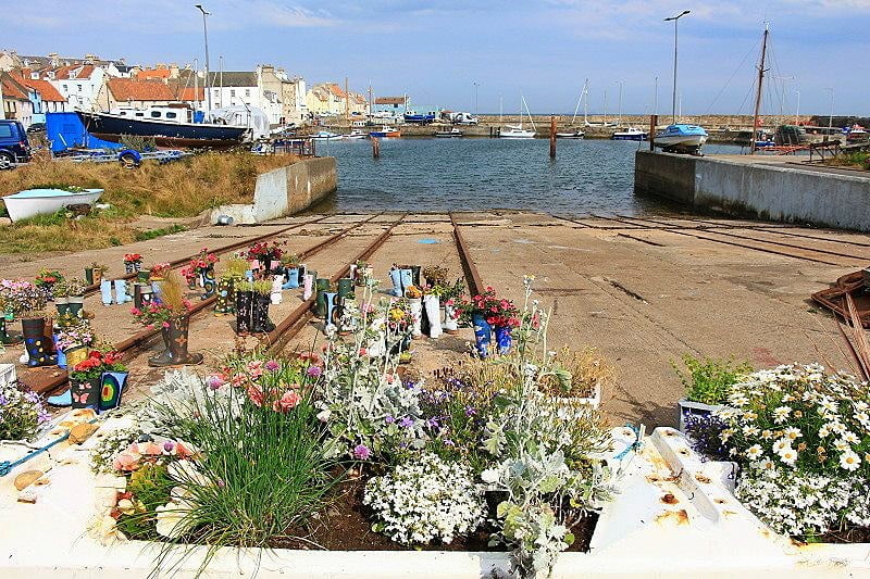 wellie boot garden