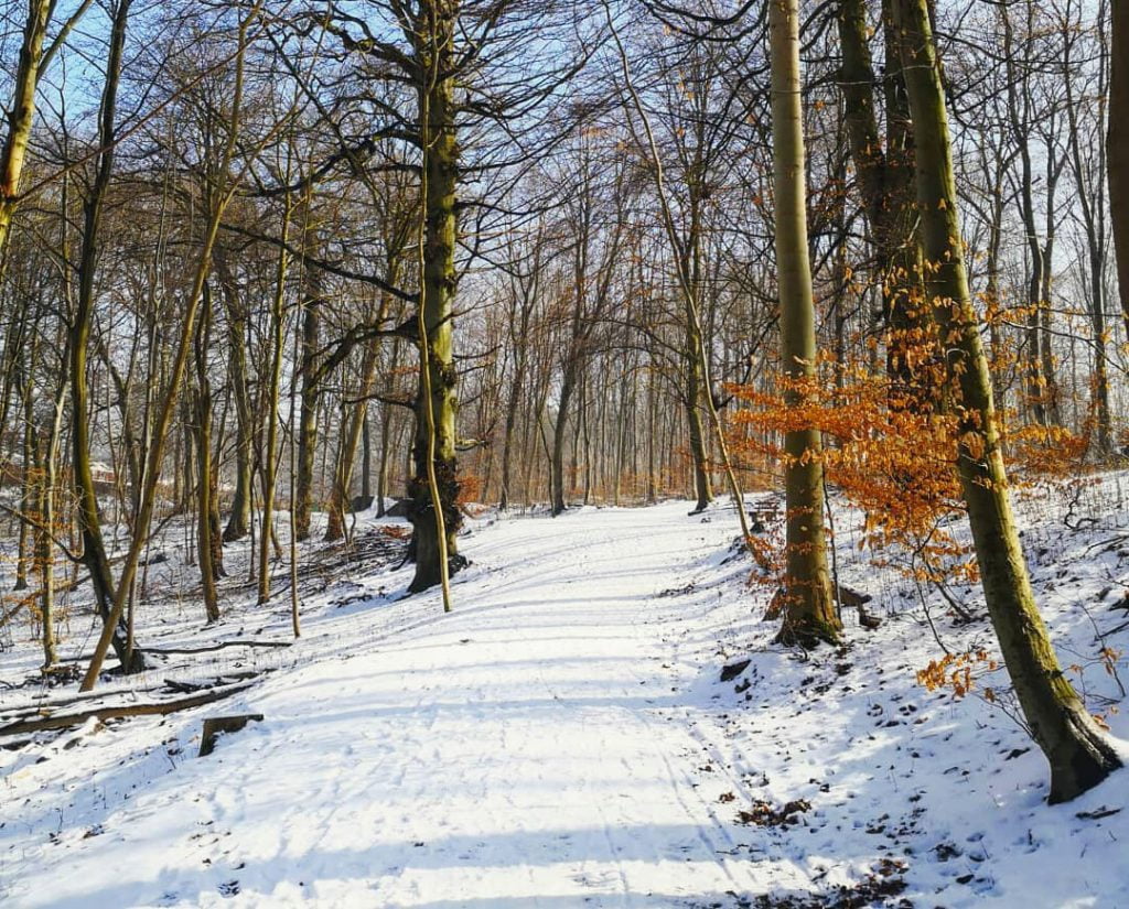 trasferirsi in danimarca - italiani in danimarca