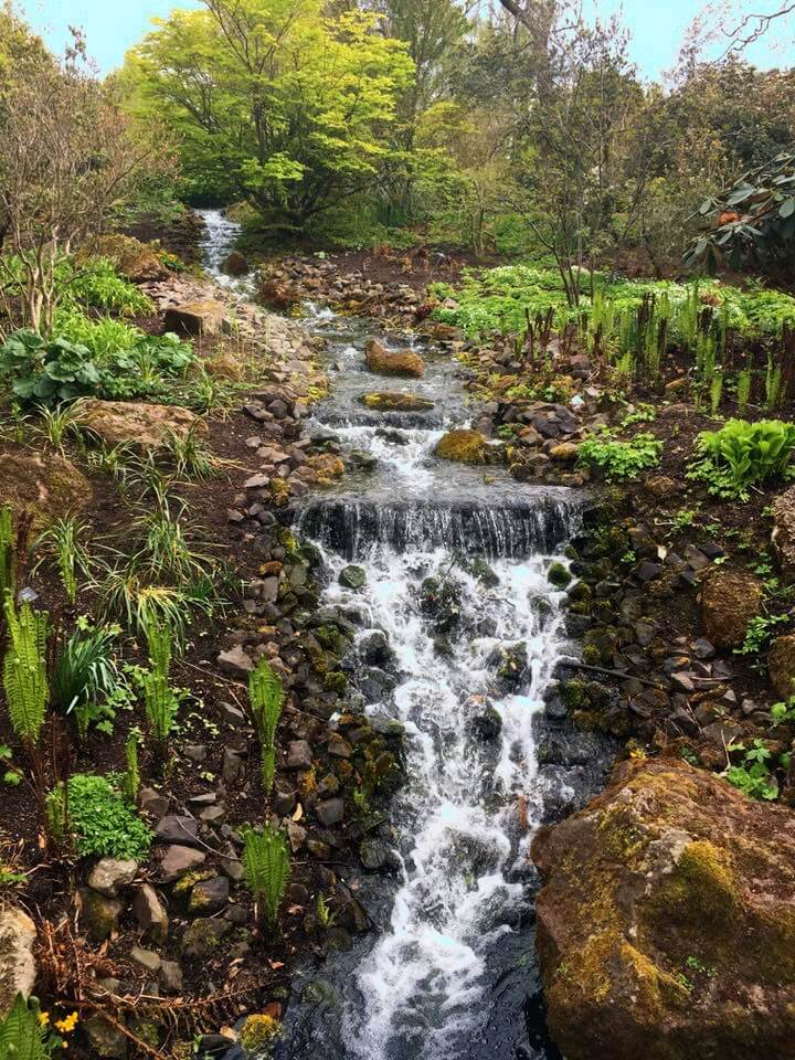 Cosa fare gratis a Edimburgo: 10 idee + bonus 3 10 cose da fare gratis a edimburgo, royal botanic garden edimburgo, edimburgo cosa fare, cose da vedere edimburgo