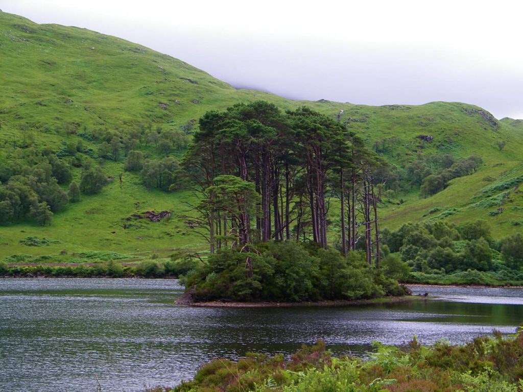 Loch Eilt - glenfinnan - harry potter scozia
