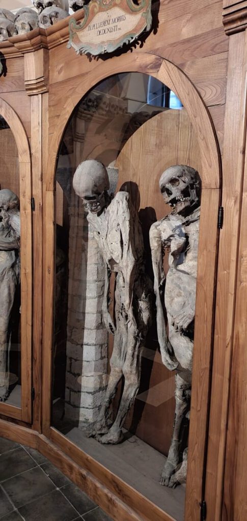 cimitero delle mummie, musei di urbania