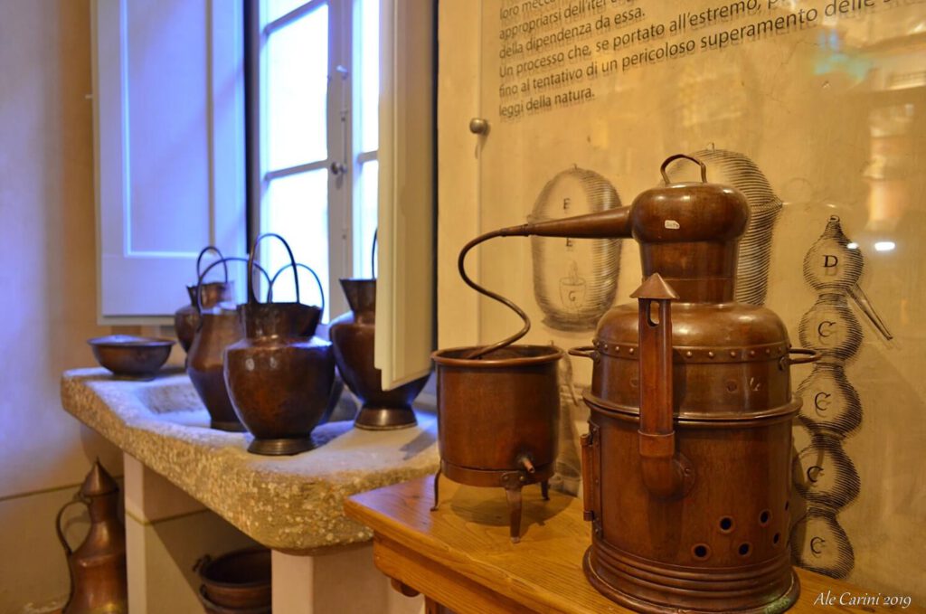 cosa vedere al museo aboca, sansepolcro cosa vedere, museum aboca