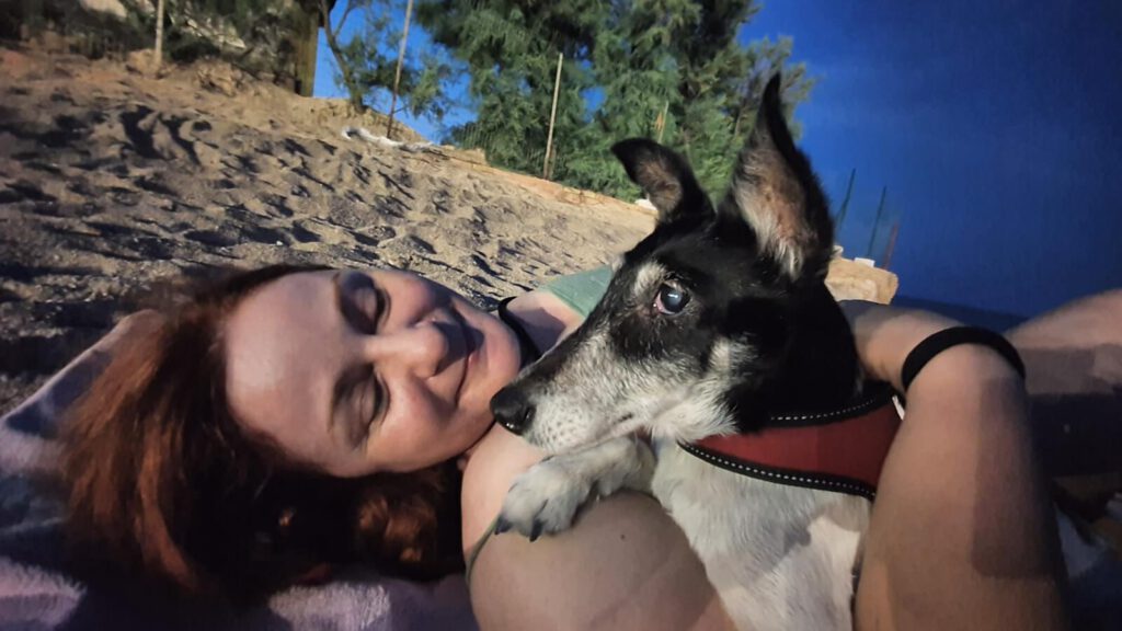 spiaggia per cani nelle marche, spiagge per cani conero, spiagge dog friendly marche, spiagge libere marche