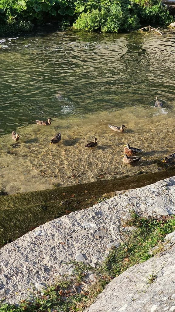 cosa vedere a pioraco
