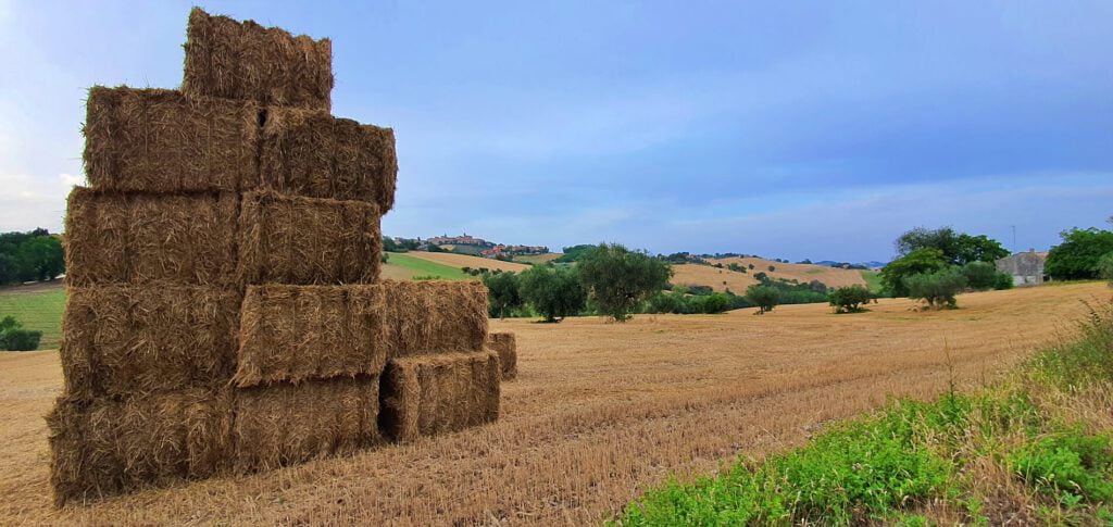 trekking urbano, cosa fare a montelupone marche