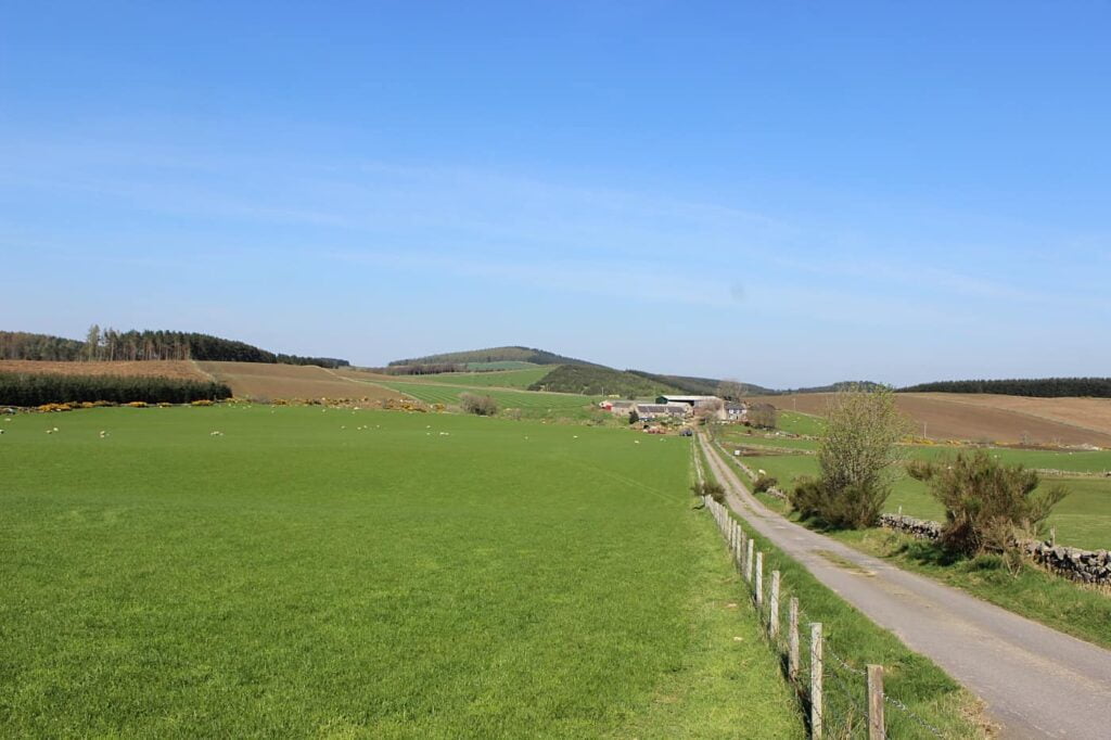 single track road scozia, guidare in scozia, 