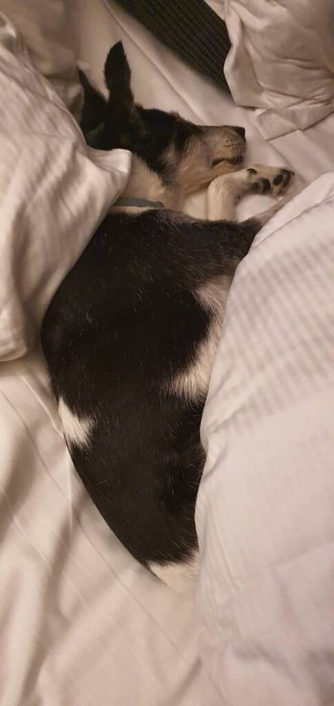 dove dormire in normandia