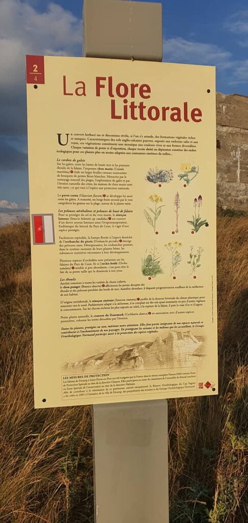 la flora del litorale