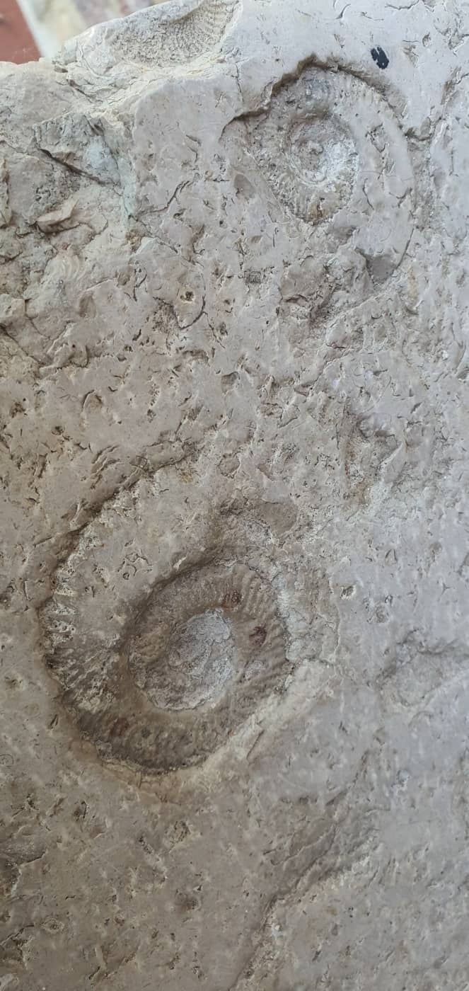 Borghi più belli delle Marche: un viaggio romantico nel medioevo 108 borghi più belli delle marche