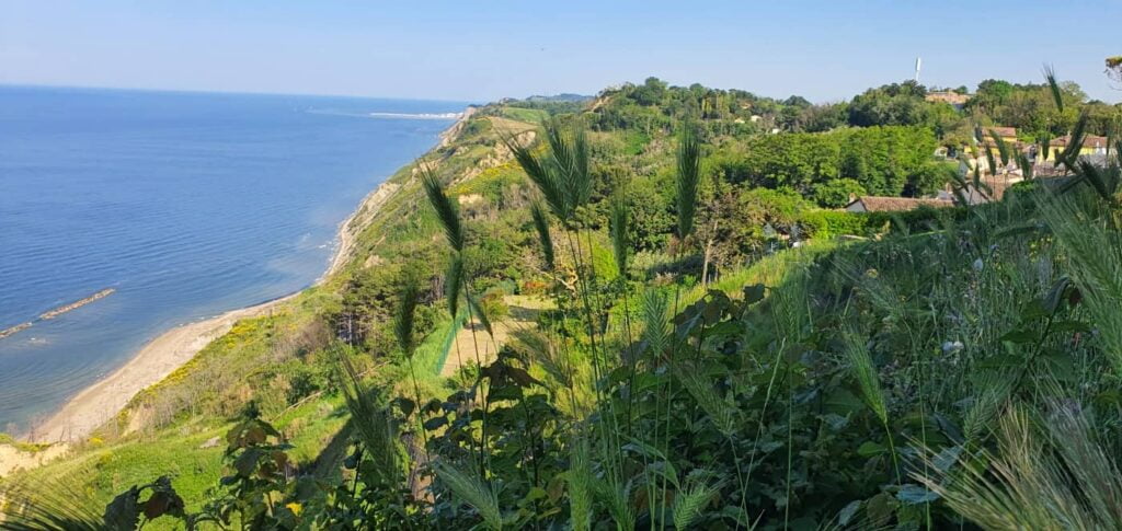 Borghi più belli delle Marche: un viaggio romantico nel medioevo 71 fiorenzuola di focara, spiaggia, borghi marche