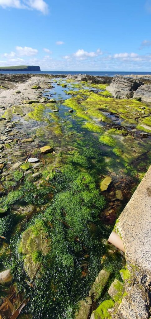 Mainland delle Orcadi: cosa vedere sull'isola più grande dell'arcipelago 25 Brough of Birsay 3