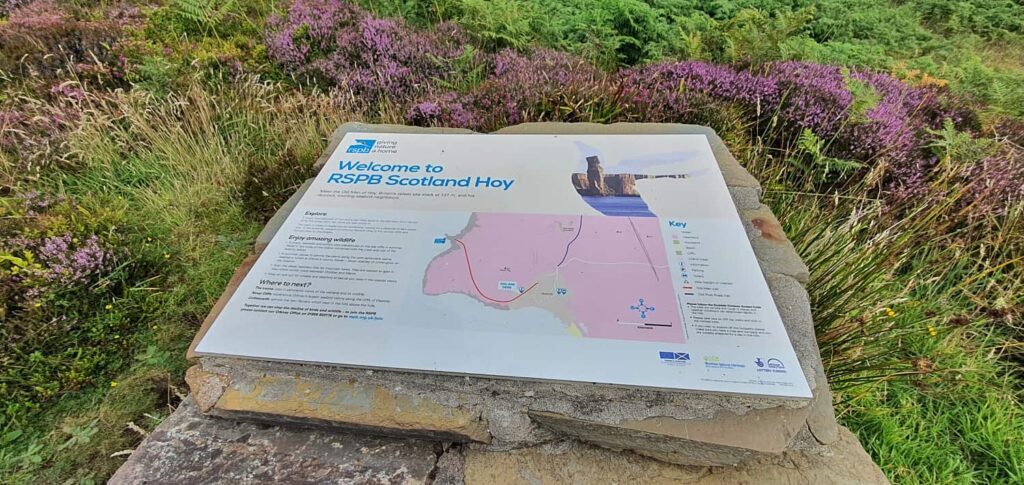 rspb scotland hoy