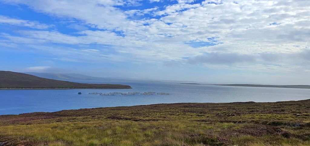 le spiagge di hoy, Rysa bay e Pegal bay,