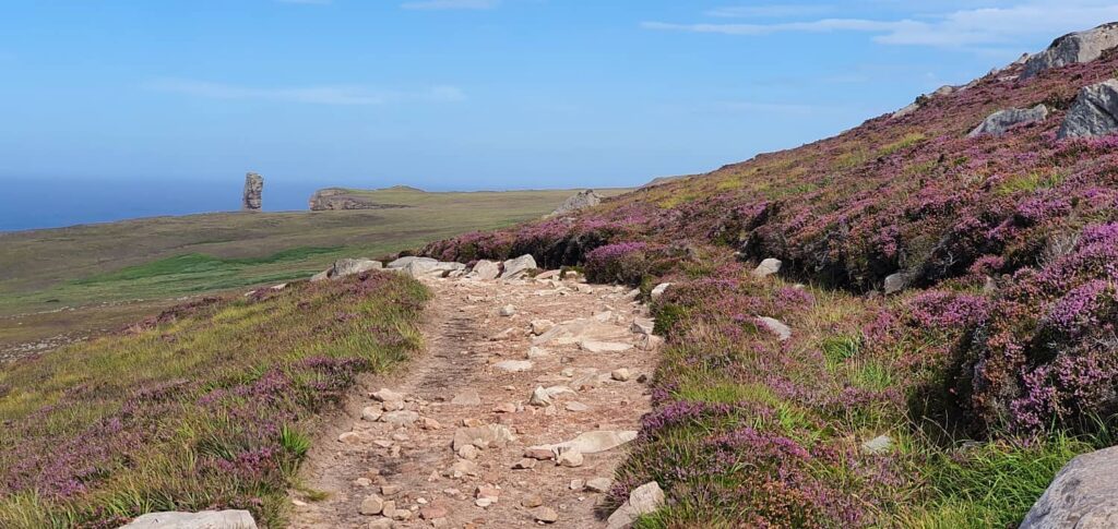 dove vedere l'erica in scozia