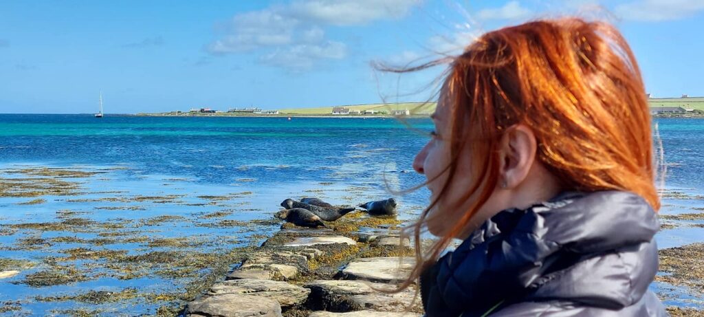 Animali fantastici e dove trovarli: foche, delfini e balene in Scozia 19 isola di westray, isole orcadi, scozia