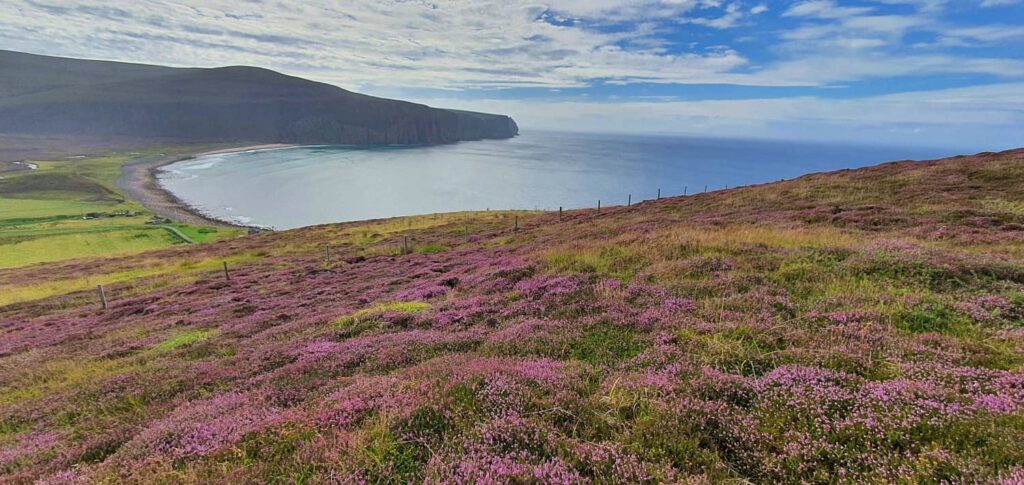 rackwick bay, isola di hoy