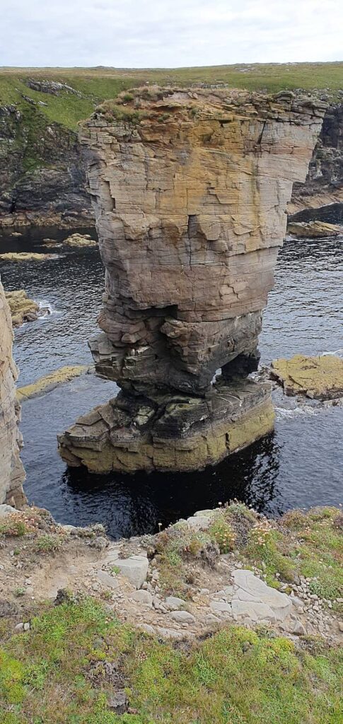 Yesnaby cliffs: uno dei tratti di costa più spettacolari delle Orcadi 22 yesnaby, isole orcadi