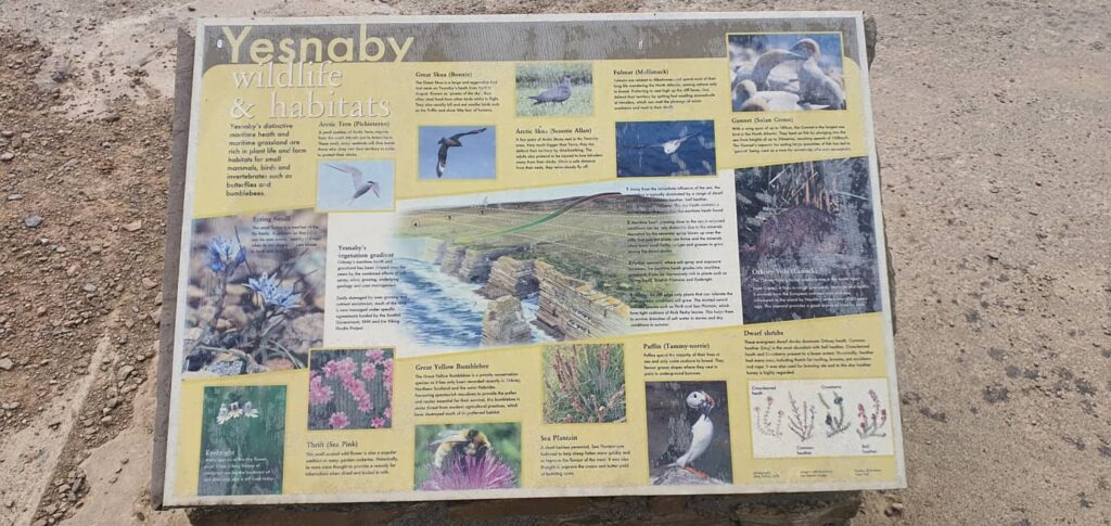 Yesnaby cliffs: uno dei tratti di costa più spettacolari delle Orcadi 4 Yesnaby mappa 3